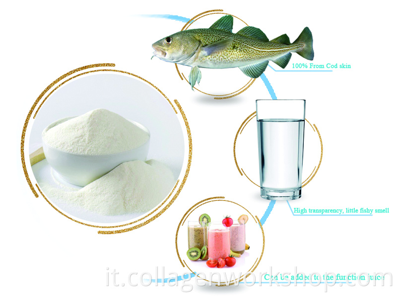 cod fish collagen detail